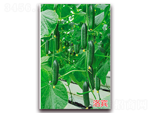 ���e-ˮ���S�ϷN��-�f(w��n)���r(n��ng)�I(y��)