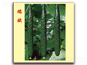 ��W-�S�ϷN��-�f(w��n)���r(n��ng)�I(y��)