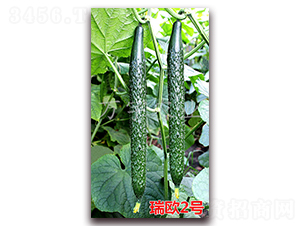 ��W2̖(h��o)-�S�ϷN��-�f(w��n)���r(n��ng)�I(y��)