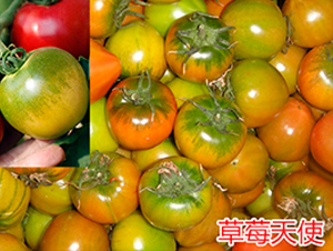 ��ݮ��ʹ-����С���t���N��-�f���r(n��ng)�I(y��)