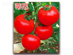 ����-�t�����ѷN��-�f���r(n��ng)�I(y��)