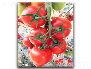 ����-�t�����ѷN��-�f���r(n��ng)�I(y��)