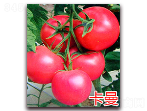 ����-�۹����ѷN��-�f���r(n��ng)�I(y��)