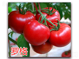 �_��-�۹����ѷN��-�f���r(n��ng)�I(y��)