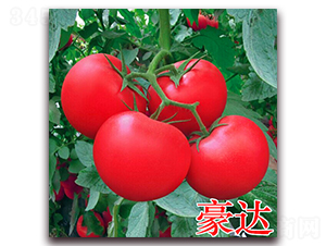 ���_(d��)-�۹����ѷN��-�f���r(n��ng)�I(y��)