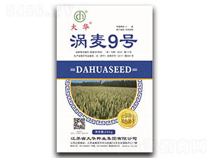 �u��9̖-С���N��-���A�N�I(y��)