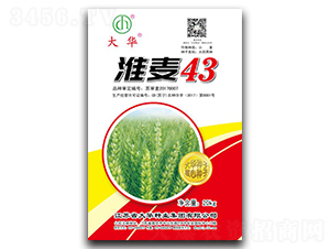 ����43-С���N��-���A�N�I(y��)