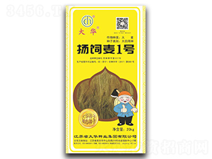 �P(y��ng)���1̖-�����N��-���A�N�I(y��)