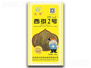 ����2̖-�����N��-���A�N�I(y��)