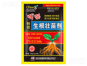 ������Ч�������焩������-��˲