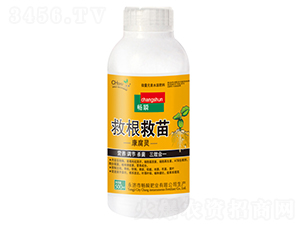 �ȸ����翵���`��ƿ��-��˲