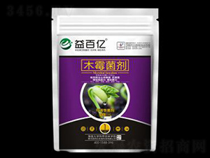 ������ľù����-��ك|