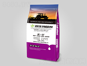 ΢�������-�t����