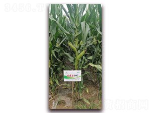 ���r(n��ng)��997-���׷N��-�r(n��ng)�(l��)