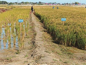 �}�A�ظ����ʌ��ĈD-�����S