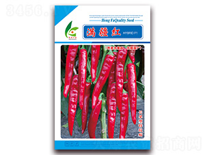 �M���t-�����N��-�t�l(f��)�N�I(y��)