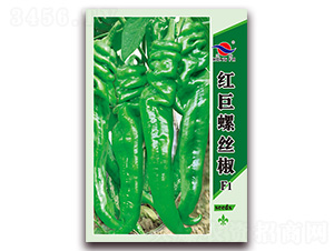 �t���ݽz��-�����N��-�t�l(f��)�N�I(y��)