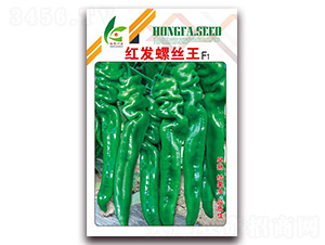 �t�l(f��)�ݽz��-�����N��-�t�l(f��)�N�I(y��)