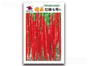 ��Ʒ�t����̖(h��o)-�����N��-�t�l(f��)�N�I(y��)