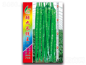 �����L(zh��ng)����-�����N��-�t�l(f��)�N�I(y��)