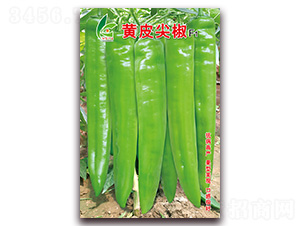 �SƤ�⽷-�⽷�N��-�t�l(f��)�N�I(y��)