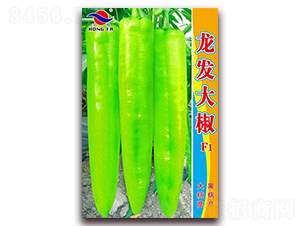 ���l(f��)��-�⽷�N��-�t�l(f��)�N�I(y��)