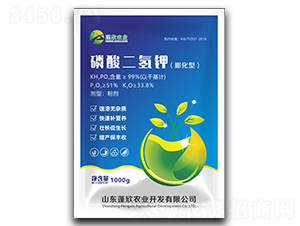 ��������-�����r(n��ng)�I(y��)