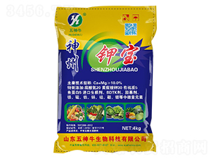 ����⛌�-����ţ