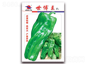 ������-��Ƥ�ݽ��N��-�t�l(f��)�N�I(y��)