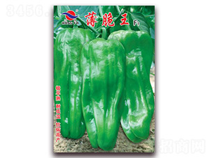 ������-��Ƥ�ݽ��N��-�t�l(f��)�N�I(y��)