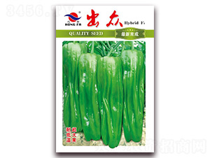 ����-��Ƥ�ݽ��N��-�t�l(f��)�N�I(y��)