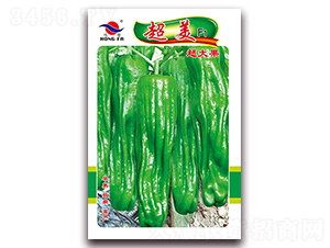 ����-��Ƥ�ݽ��N��-�t�l(f��)�N�I(y��)