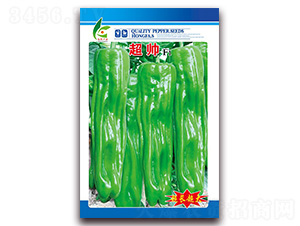 ����-��Ƥ�ݽ��N��-�t�l(f��)�N�I(y��)