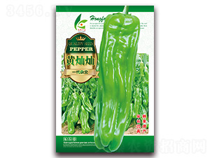 �S�N�N-��Ƥ�ݽ��N��-�t�l(f��)�N�I(y��)