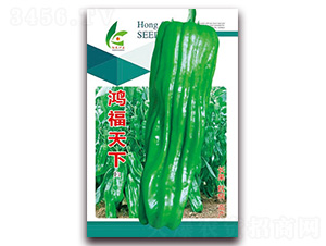 ��������-��Ƥ�ݽ��N��-�t�l(f��)�N�I(y��)