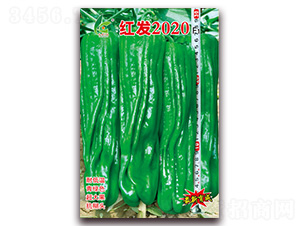 �t�l(f��)2020-��Ƥ�ݽ��N��-�t�l(f��)�N�I(y��)