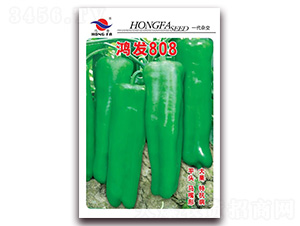 ���l(f��)808-��Ƥ�ݽ��N��-�t�l(f��)�N�I(y��)