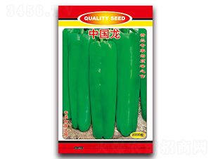 �Ї�(gu��)��-��Ƥ�ݽ��N��-�t�l(f��)�N�I(y��)