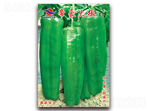 �ۺ���-��Ƥ�ݽ��N��-�t�l(f��)�N�I(y��)