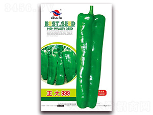 ����999-��Ƥ�ݽ��N��-�t�l(f��)�N�I(y��)