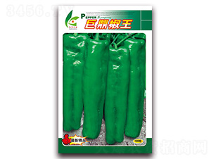 �޶�����-��Ƥ�ݽ��N��-�t�l(f��)�N�I(y��)