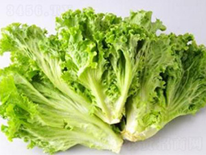 ���˷N��-��ϣ��