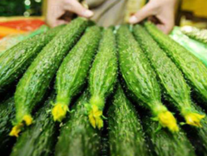 �S�ϷN��-��ϣ��