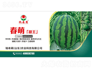 ��������-���ϷN��-��ϣ��