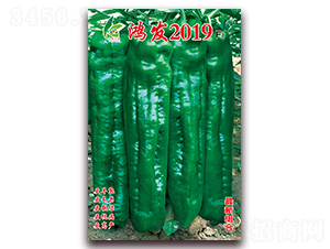 ���l(f��)2019-��Ƥ�ݽ��N��-�t�l(f��)�N�I(y��)