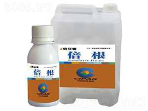 ����-������-�����r(n��ng)�I(y��)