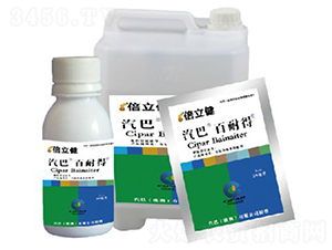 ���͵�-������-�����r(n��ng)�I(y��)