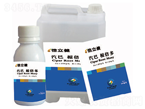 ������-������-�����r�I(y��)