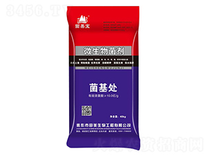 40kg΢�������-����̎-��������