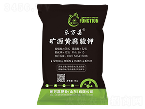 �VԴ�S�����-���f��